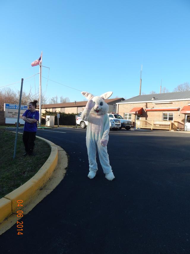 Bunny Breakfast 2014 - Mr. Bunny inviting people for Breakfast.